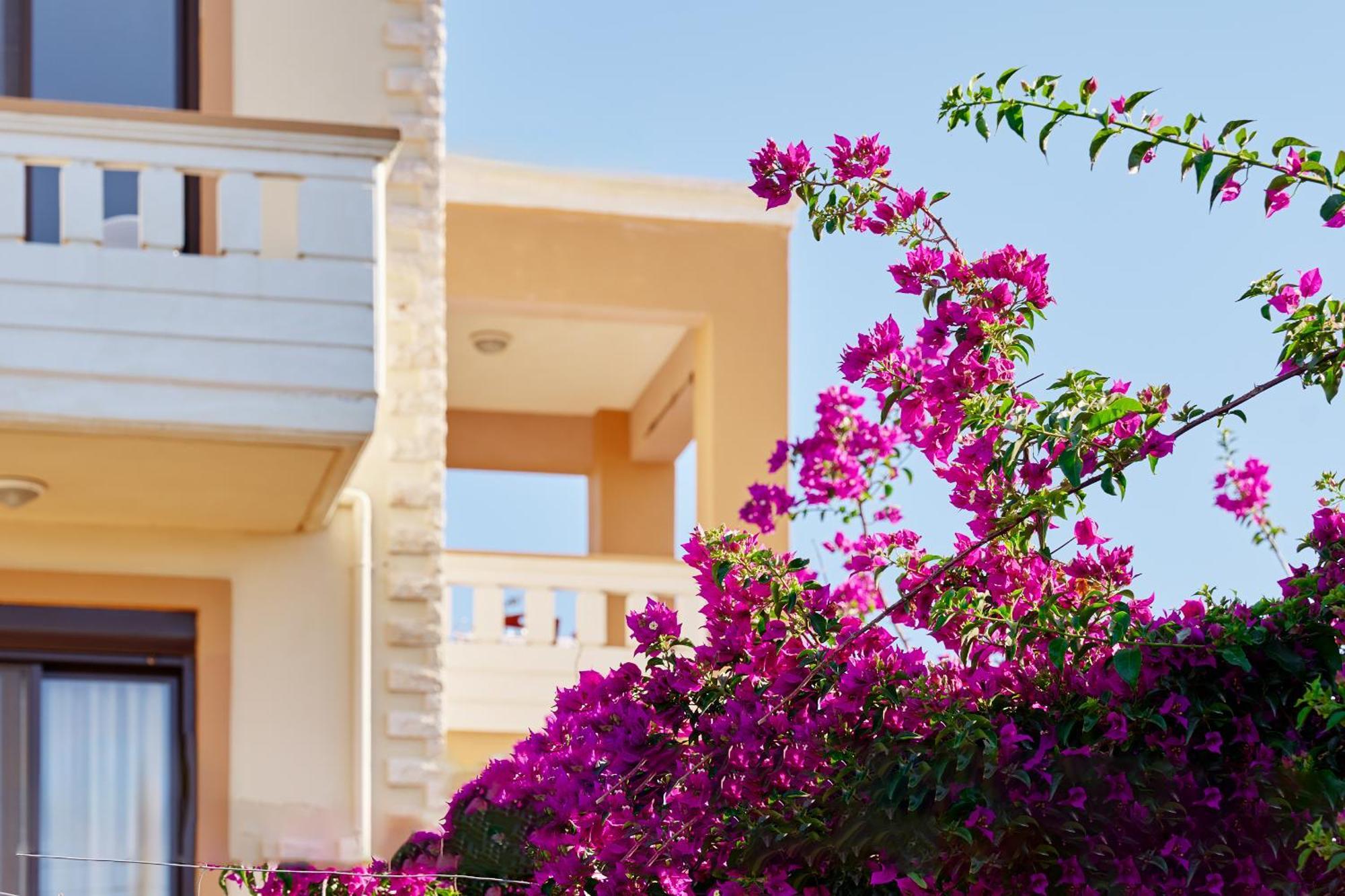 Villa Gereoudis Seaview Apartments-Pool & Bar Kolimvárion Exterior foto